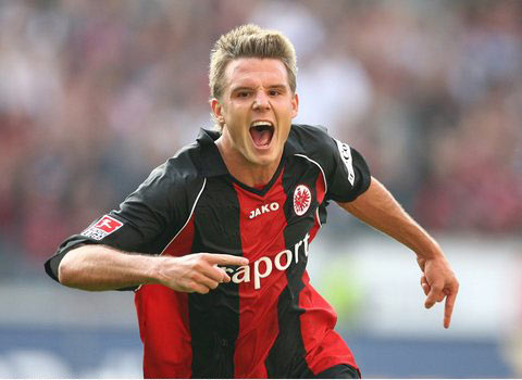 大多融入了 大多融入了