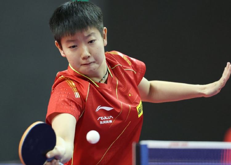 的职业生涯 的职业生涯